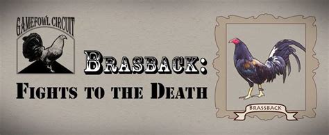 Brassback: Yer Spangle Bruiser » Reach  .